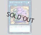 禁じられた一滴/プリズマティックシークレット【魔法】《ROTD