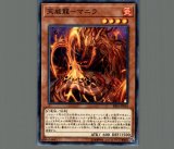 未開封】グランドレミコード・クーリア 70枚入り - メルカード遊戯王