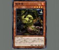 龍狸燈