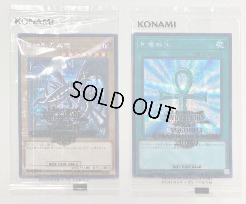 画像2: World championship2019（2019年世界大会プロモ） (2)