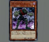 70726f647563742f32303231303430