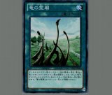 遊戯王 竜の霊廟 - メルカリ
