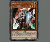 キラーチューン　フルコン　+ゆきうさぎ 51FxN+WBQ0L._UF350,350_QL50_.jpg