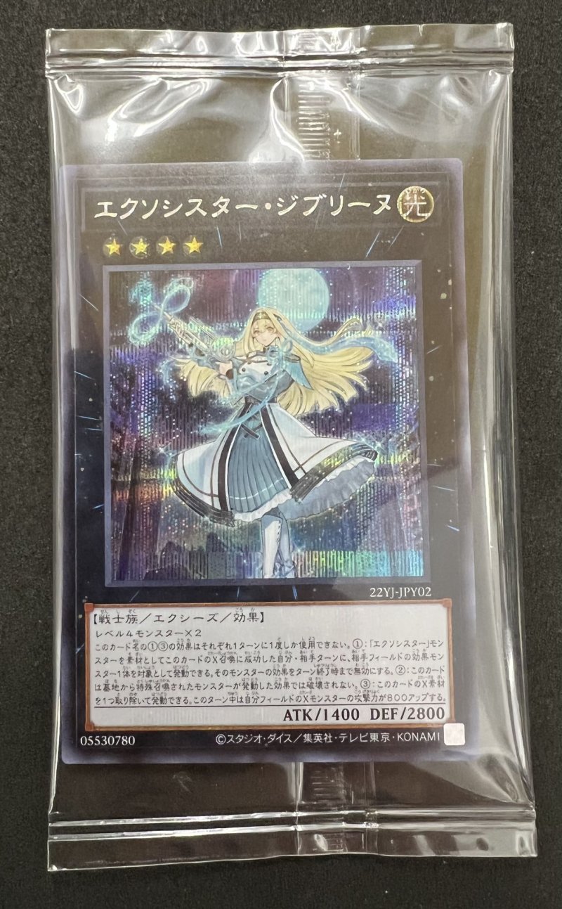 画像1: 【未開封】エクソシスタージブリーヌ/シークレット【エクシーズ】《22YJ-JPY02》 (1)