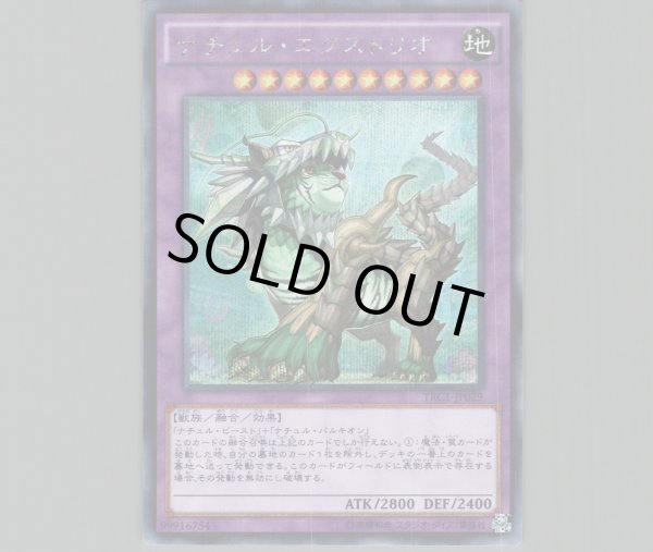 メーカー 一覧 遊戯王 ナチュル・エクストリオ psa ars10 dt DT