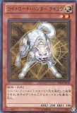 デッキ販売】K9ドレミコード(ケーナインドレミコード)デッキ