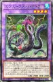 エクストクスハイドラ