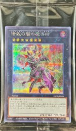 遊戯王　伝説の闇の魔導士　エクストラシークレットレア　EXシク　1枚 伝説の闇の魔導師 エクシーズ 遊戯王 伝説の白き龍 伝説の闇の魔