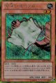 素早いモモンガ