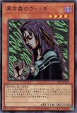 遊戯王　黒き森のウィッチ　セット 黒き森のウィッチ/ノーマル【モンスター】《SD46-JP024》 くろきもりの
