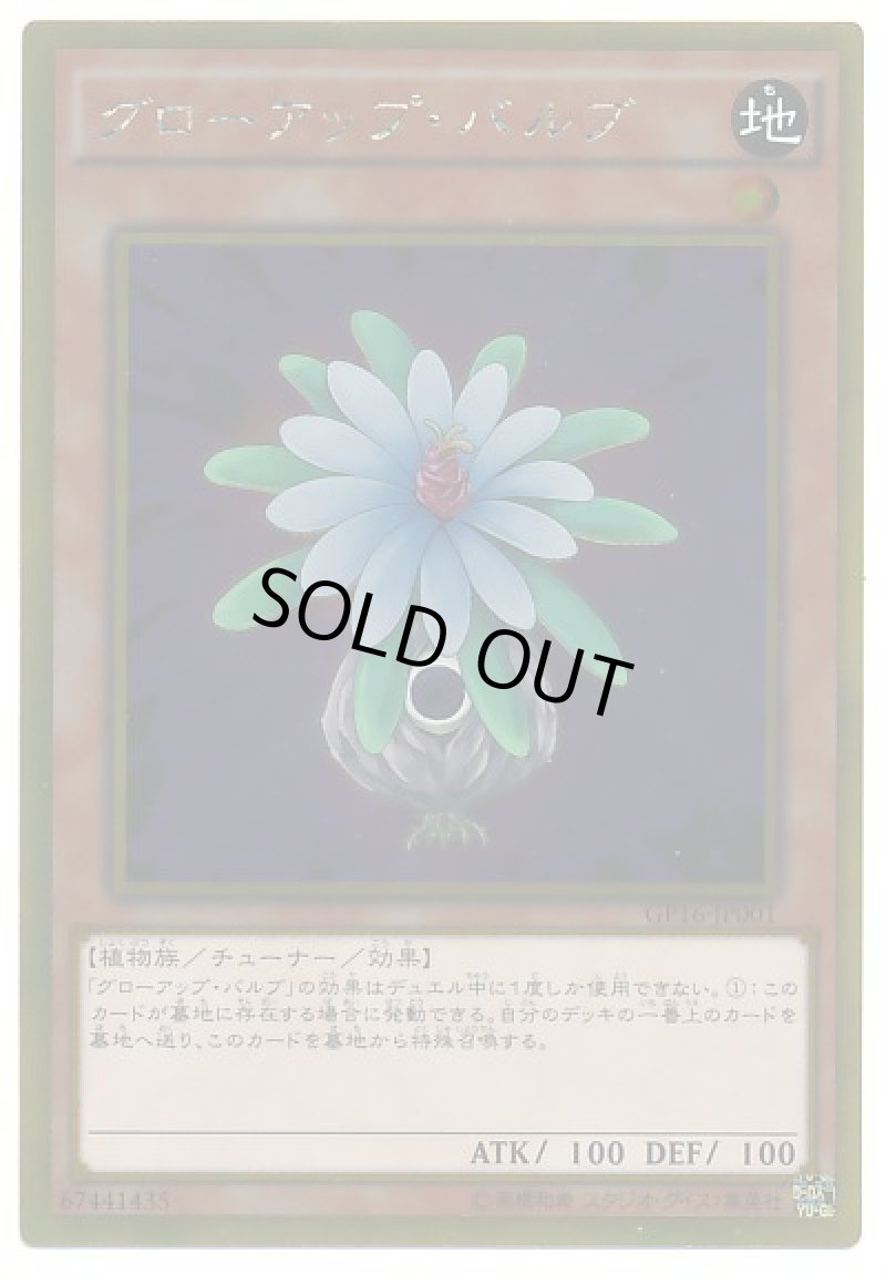 画像1: グローアップバルブ/ゴールド《GP16-JP001》【モンスター】 (1)