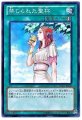 禁じられた聖杯