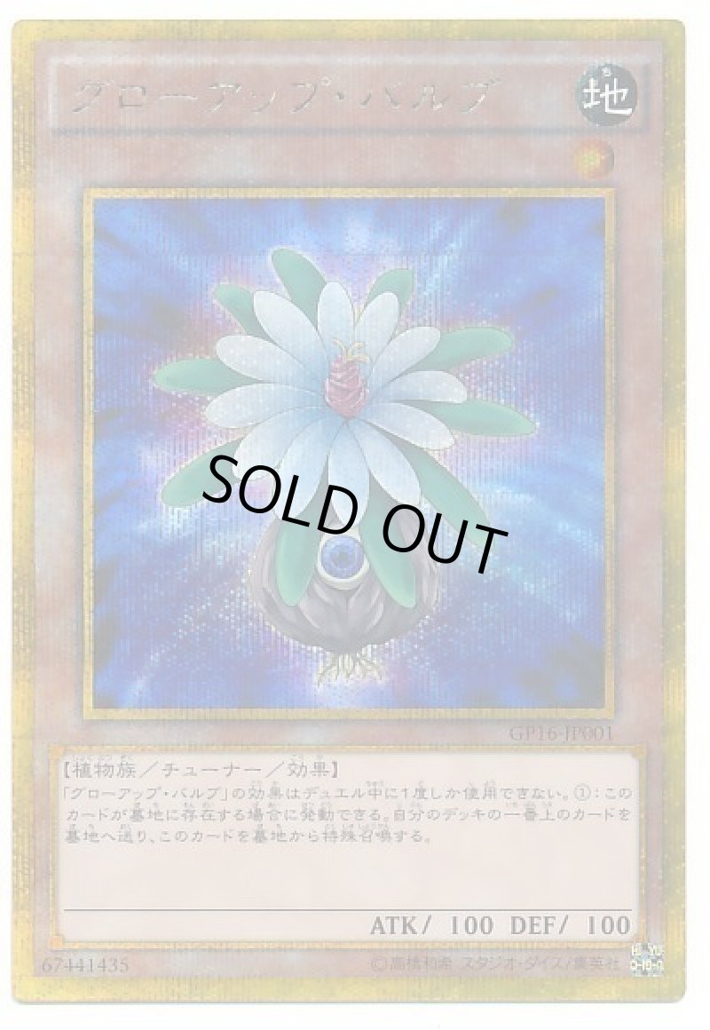 画像1: 〔特価品〕グローアップバルブ/ゴールドシークレット【モンスター】《GP16-JP001》 (1)