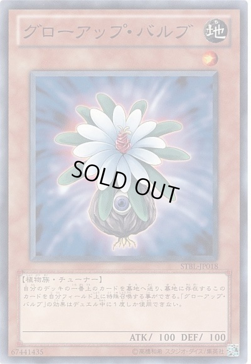 画像1: 〔特価品〕グローアップバルブ/ノーマル《STBL-JP018》【モンスター】 (1)