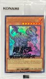 Dragon of Illumination,未開封 遊戯王 未開封 日本選手権 プロモ Dragon of Illumination