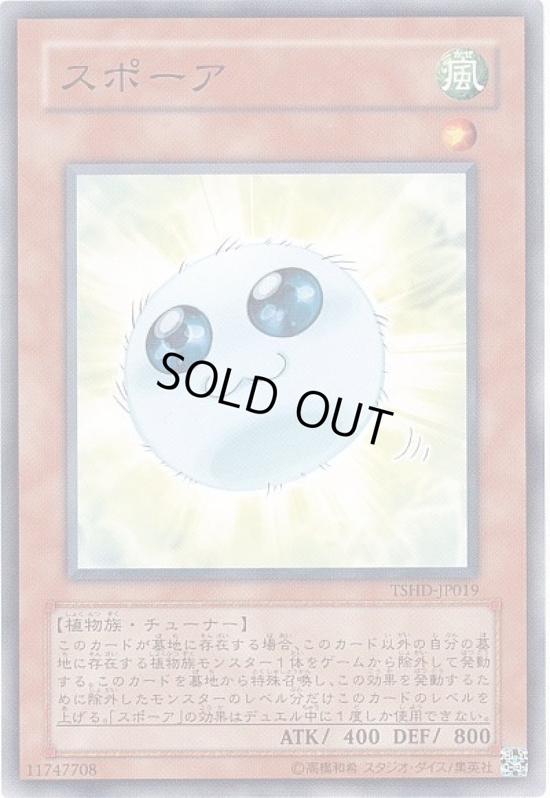 画像1: 〔特価品〕スポーア/ノーマル【モンスター】《TSHD-JP019》 (1)