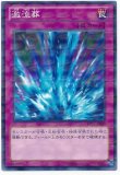 PSA10 激流葬　ウルトラパラレル　希少 楽天市場】遊戯王 カード 激流葬の通販