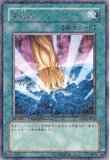 特価品〕☆アジア☆S：Pリトルナイト/25thシークレット【リンク