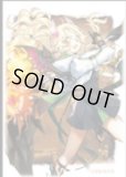 未開封】天叢雲之巳剣(YCSJ2025NAGOYA)/ハーフプレイマット 販売ページ