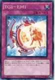 未開封】WCS2025 Light Leading the Valiant/プレイマット 販売ページ