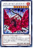 遊戯王 ブラックローズドラゴン 20th Amazon.co.jp: 遊戯王 / ブラック・ローズ・ドラゴン（20th