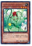 特価品〕調和ノ天救竜/レリーフ【モンスター】《BLZD-JP024》 - メル