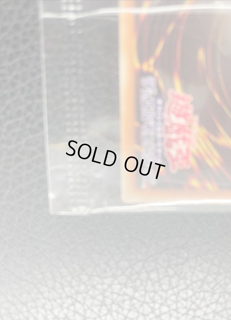 画像5: 【封筒付き未開封】アナザーバースストラディオス/スーパー【モンスター】《25YC-JP001》 (5)