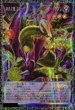 LIMIT OVER COLLECTION －THE RIVALS－リミット オーバー コレクション
