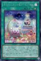 ヤミーズメント★アクロッキー