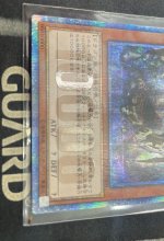 画像3: 〔特価品〕万物創世龍/10000シークレット【モンスター】《IGAS-JP000》 (3)
