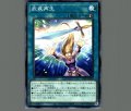 武装再生