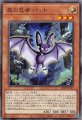 森の忍者 バット