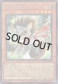 森の聖騎士 ワンコ