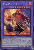 ☆アジア☆DDカウント・サーベイヤー/シークレット SPECIAL