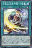 ファイアウォール・ドラゴン・シンギュラリティ/レリーフ【リンク