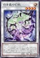 白き森の幻妖