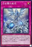 プレイマット 伝説の白き龍WCS2023 販売ページ｜遊戯王カード通販