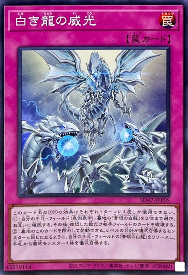 白き龍の威光/スーパー【罠】《SD47-JPP05》 しろきりゅうのいこう