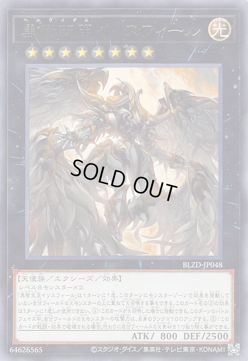 画像1: 黒智天至イリスフィール/レア【エクシーズ】《BLZD-JP048》 (1)