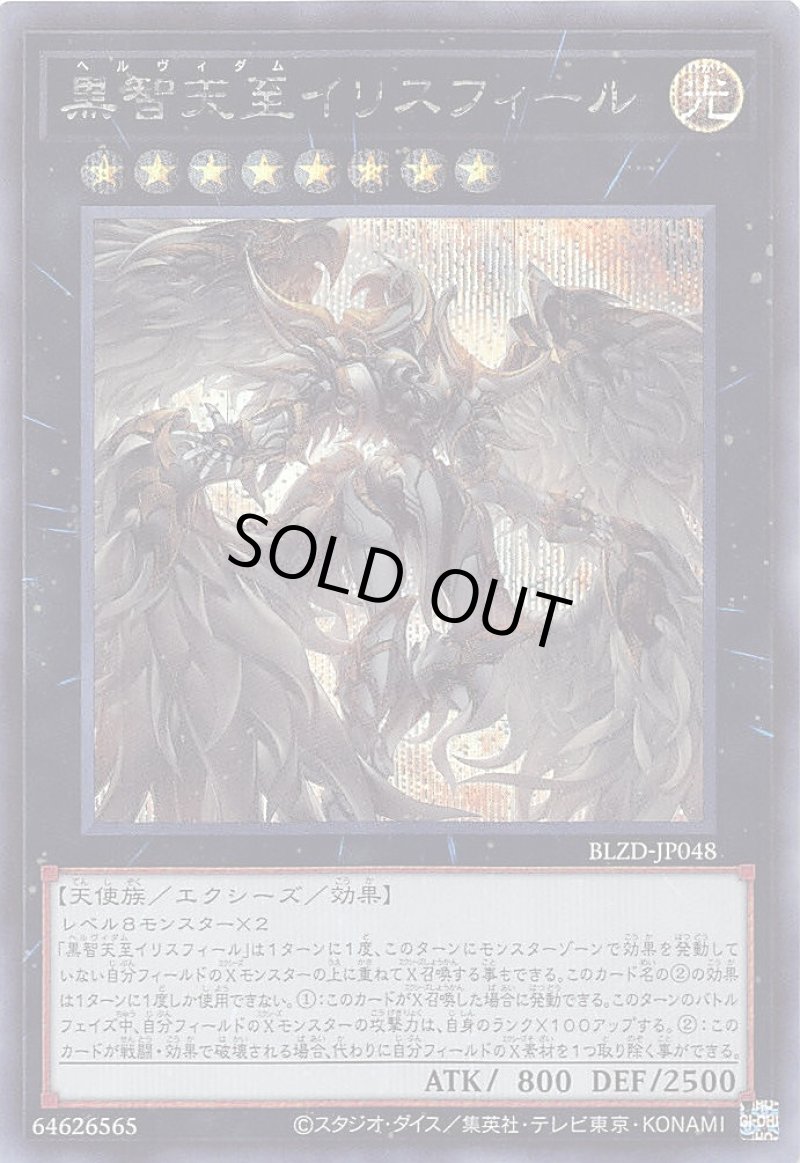 画像1: 黒智天至イリスフィール/シークレット【エクシーズ】《BLZD-JP048》 (1)