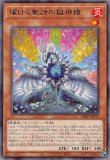 耀聖の花詩ルキナ/スーパー【モンスター】《BPRO-JP010》 エルフェン