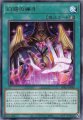 幻惑の操手