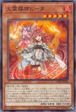 THE CHRONICLES DECK 精霊術の使い手 - メルカード遊戯王