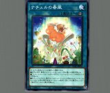 クシャトリラ・バース/ノーマル【魔法】《DABL-JP060》 くしゃ