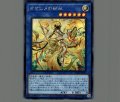 オオヒメの御巫