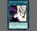 エクシーズ・インポート