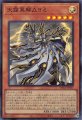 天霆異解△ヨミ