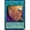 ピリ・レイスの地図