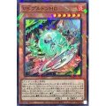 VSプルトンHG