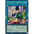 Recette de Poisson〜魚料理のレシピ〜